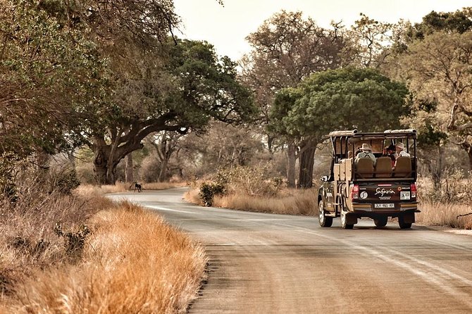 Central Kruger National Park — Satara area savanna