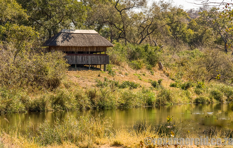 Northern Kruger National Park — Pafuri baobab woodland