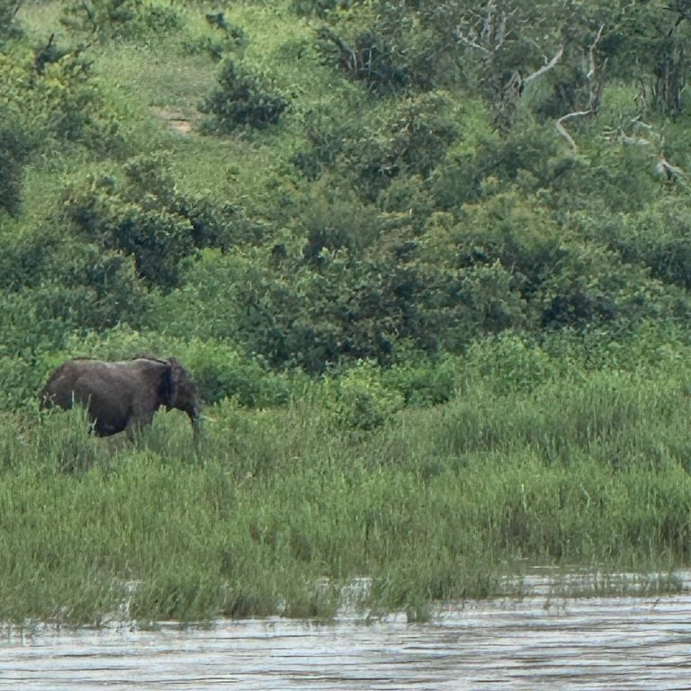 Lower Sabie Rest Camp
