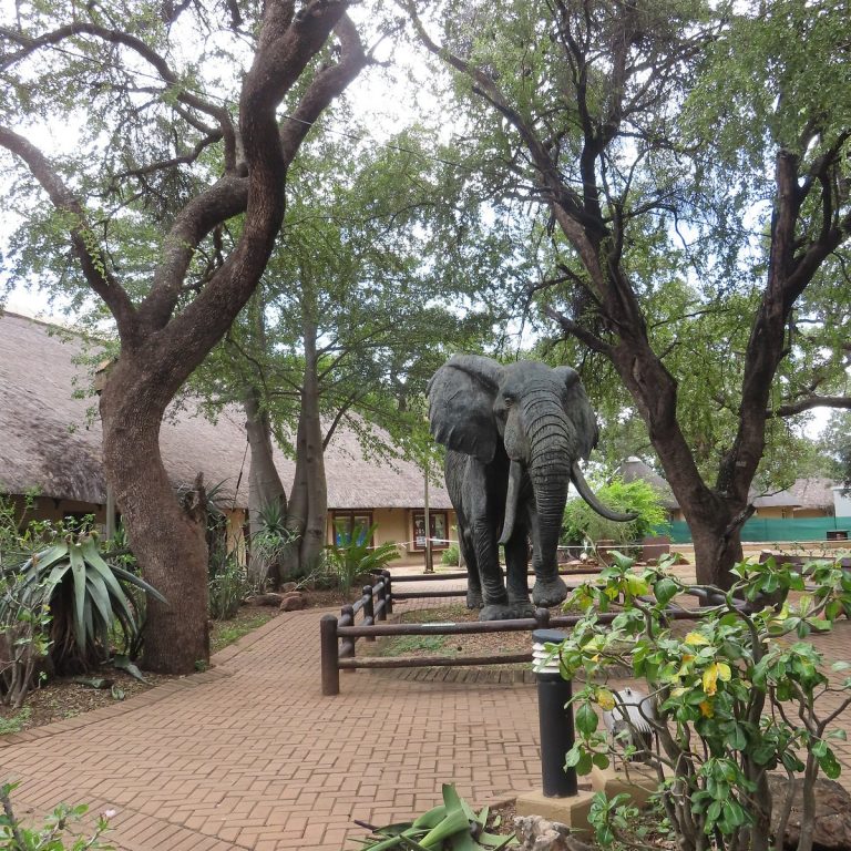 Pretoriuskop Rest Camp