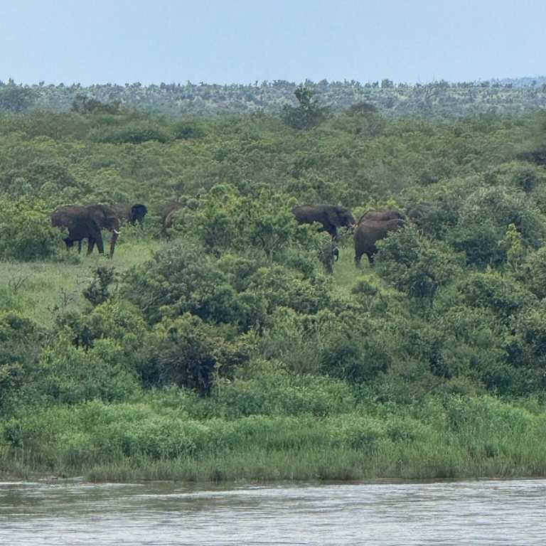 Lower Sabie Rest Camp